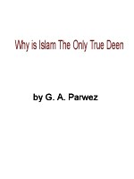 why-is-islam-the-only-true-deen